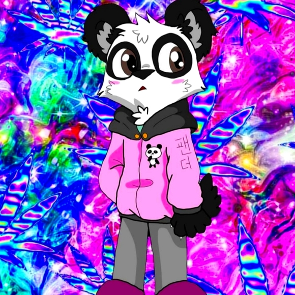 Meet your Posher, Panda - Picture 1 of 1